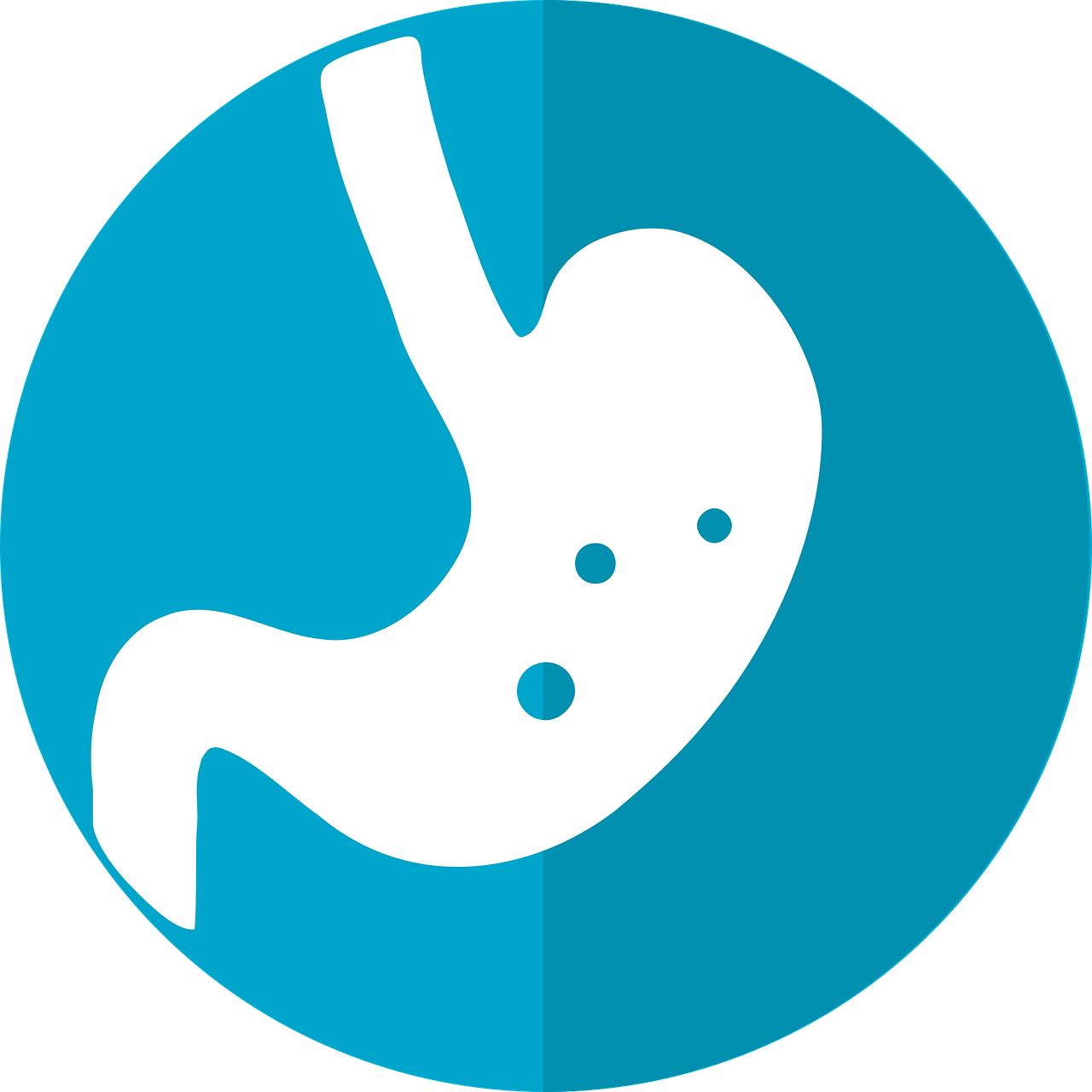 digestive